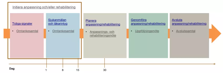 Bilden visar de olika delarna av anpassnings- och rehabiliteringsprocessen.